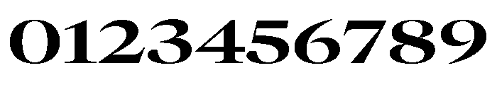 GTCanon LExtendedBold 2 Font OTHER CHARS
