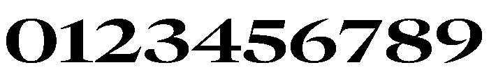 GTCanon LExtendedBold Font OTHER CHARS