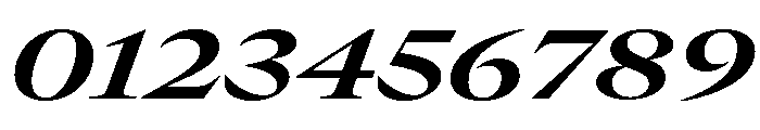 GTCanon LExtendedBoldItalic Font OTHER CHARS
