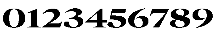 GTCanon LExtendedHeavy Font OTHER CHARS