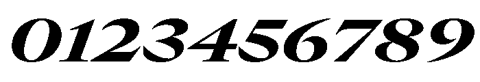 GTCanon LExtendedHeavyItalic 2 Font OTHER CHARS