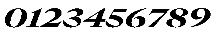 GTCanon LExtendedHeavyItalic Font OTHER CHARS