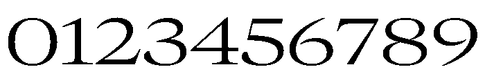 GTCanon LExtendedLight Font OTHER CHARS