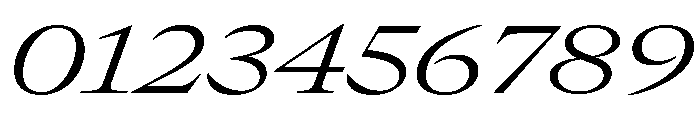 GTCanon LExtendedLightItalic 2 Font OTHER CHARS