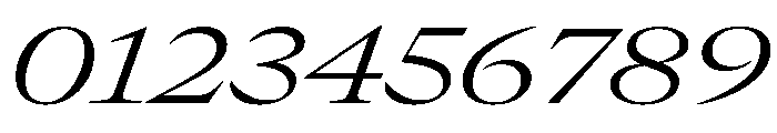 GTCanon LExtendedLightItalic Font OTHER CHARS