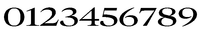 GTCanon LExtendedMedium Font OTHER CHARS
