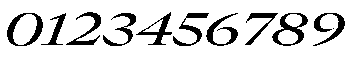 GTCanon LExtendedMediumItalic 2 Font OTHER CHARS