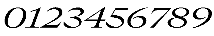 GTCanon LExtendedRegularItalic Font OTHER CHARS