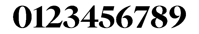 GTCanon LHeavy Font OTHER CHARS