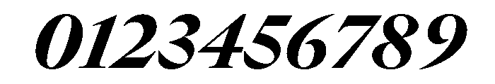 GTCanon LHeavyItalic 2 Font OTHER CHARS