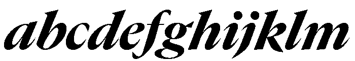 GTCanon LHeavyItalic 2 FONT