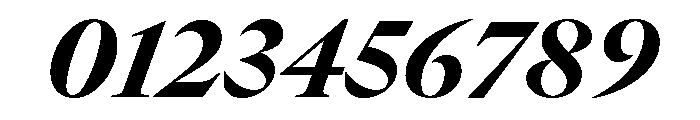 GTCanon LHeavyItalic Font OTHER CHARS