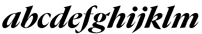 GTCanon LHeavyItalic FONT