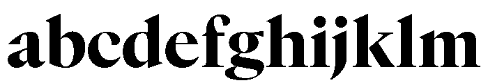 GTCanon LHeavy FONT