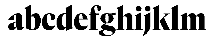 GTCanon LNarrowBlack 2 FONT