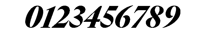 GTCanon LNarrowBlackItalic 2 Font OTHER CHARS