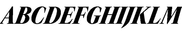 GTCanon LNarrowBlackItalic Font UPPERCASE
