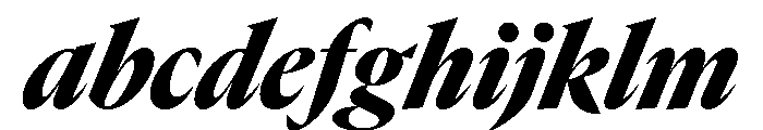 GTCanon LNarrowBlackItalic FONT