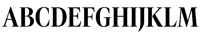GTCanon LNarrowBold 2 Font UPPERCASE