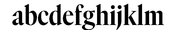 GTCanon LNarrowBold 2 FONT