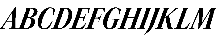 GTCanon LNarrowBoldItalic Font UPPERCASE