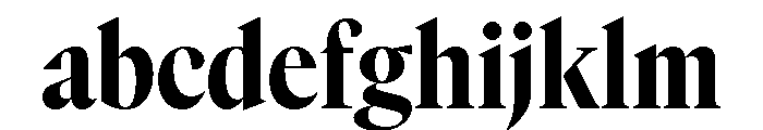 GTCanon LNarrowHeavy 2 FONT