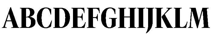 GTCanon LNarrowHeavy Font UPPERCASE
