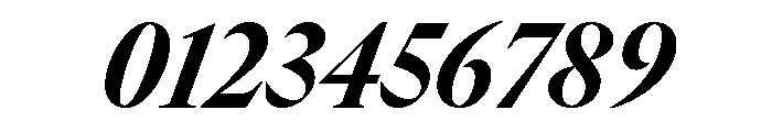 GTCanon LNarrowHeavyItalic 2 Font OTHER CHARS