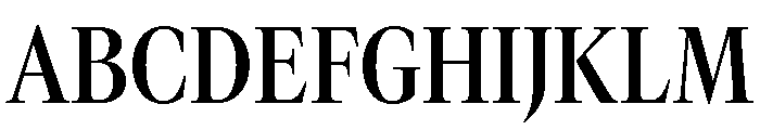 GTCanon LNarrowSemibold 2 Font UPPERCASE