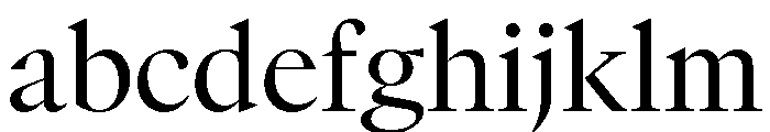 GTCanon LRegular 2 FONT