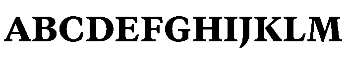 GTCanon MBlack 2 Font UPPERCASE