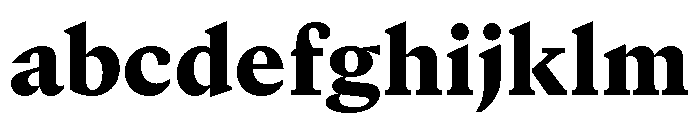 GTCanon MBlack 2 FONT