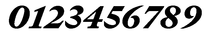 GTCanon MBlackItalic 2 Font OTHER CHARS