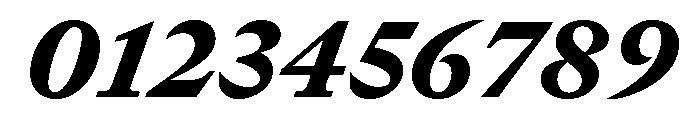 GTCanon MBlackItalic Font OTHER CHARS