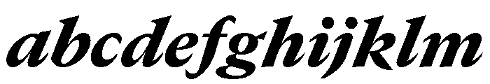 GTCanon MBlackItalic FONT