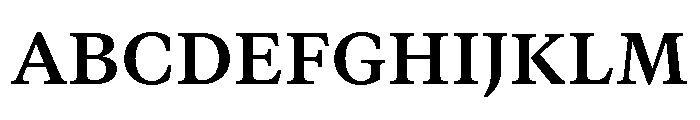 GTCanon MBold Font UPPERCASE