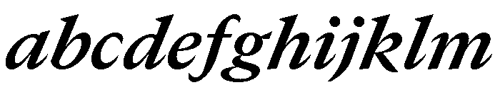 GTCanon MBoldItalic FONT
