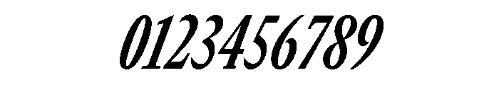 GTCanon MCondensedBoldItalic Font OTHER CHARS