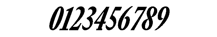 GTCanon MCondensedHeavyItalic 2 Font OTHER CHARS