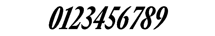 GTCanon MCondensedHeavyItalic Font OTHER CHARS