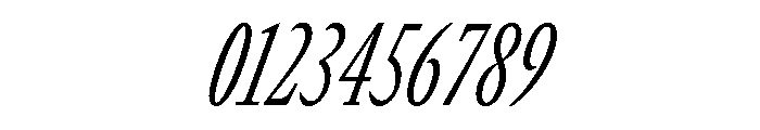 GTCanon MCondensedLightItalic 2 Font OTHER CHARS