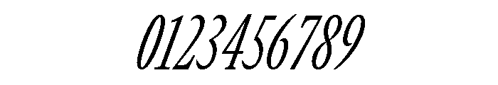 GTCanon MCondensedLightItalic Font OTHER CHARS