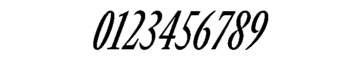 GTCanon MCondensedMediumItalic Font OTHER CHARS