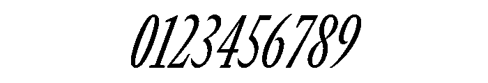 GTCanon MCondensedRegularItalic Font OTHER CHARS
