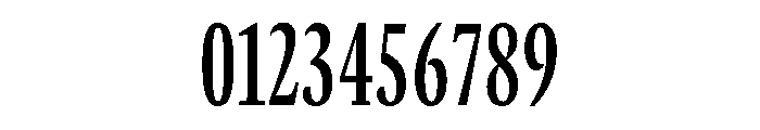 GTCanon MCondensedSemibold Font OTHER CHARS