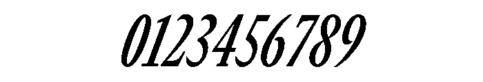 GTCanon MCondensedSemiboldItalic Font OTHER CHARS