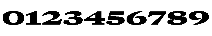GTCanon MExpandedBlack Font OTHER CHARS