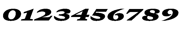 GTCanon MExpandedBlackItalic Font OTHER CHARS