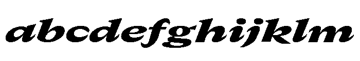 GTCanon MExpandedBlackItalic FONT