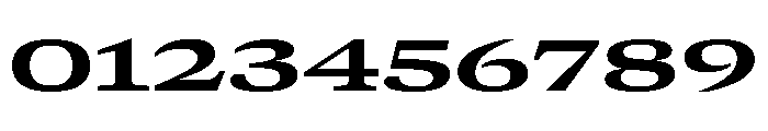 GTCanon MExpandedBold Font OTHER CHARS